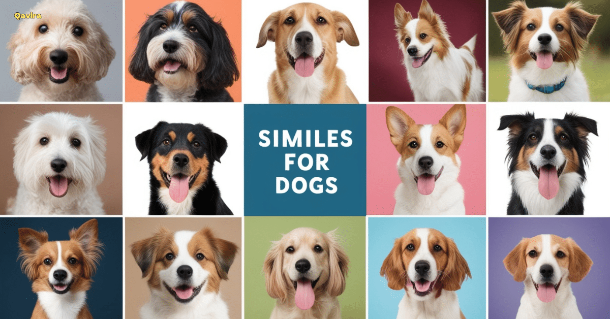 similes for dogs